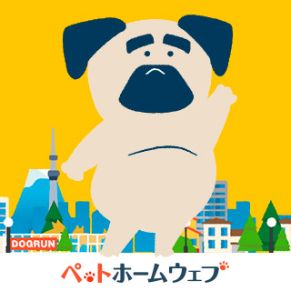 ペットホームウェブ